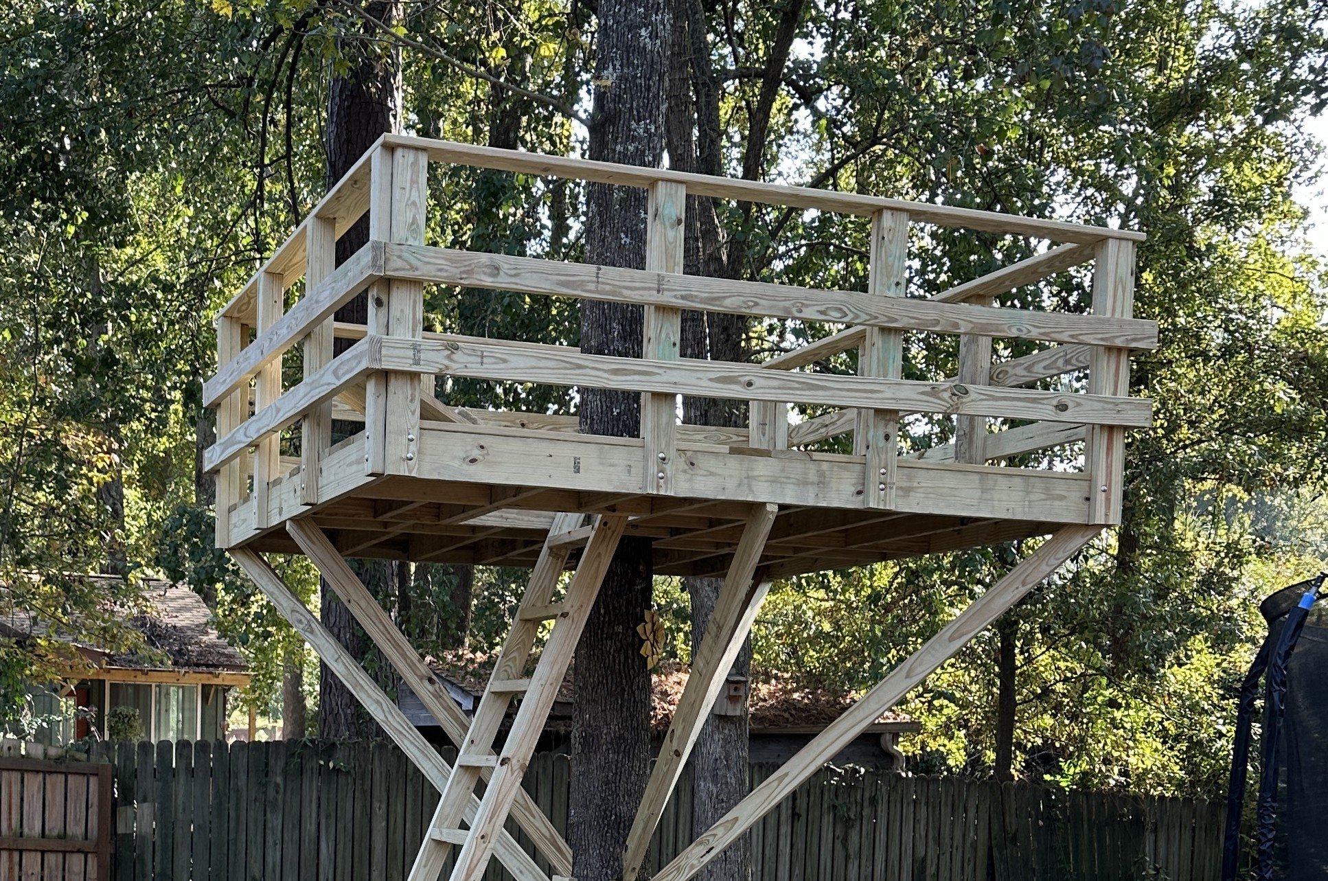 Wooden treehouse with ladder, built around tree trunk in backyard