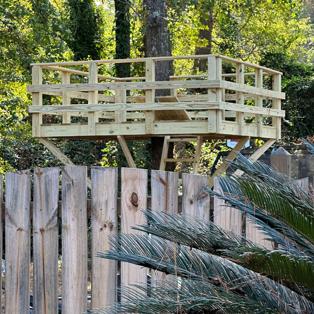 Wooden treehouse platform built around tree trunk with palm fronds in foreground