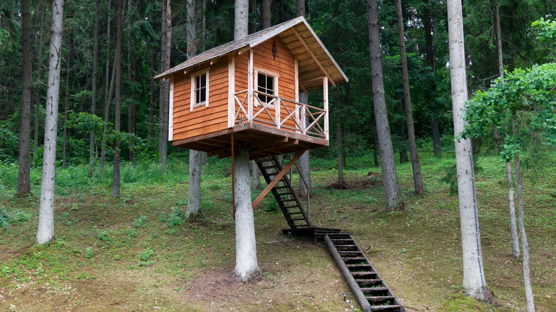 Wooden treehouse with cross-braced porch, elevated on stilts in forest