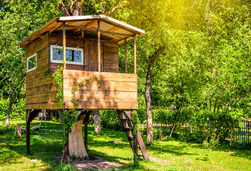 Wooden treehouse with ladder in sunny green backyard surrounded by trees