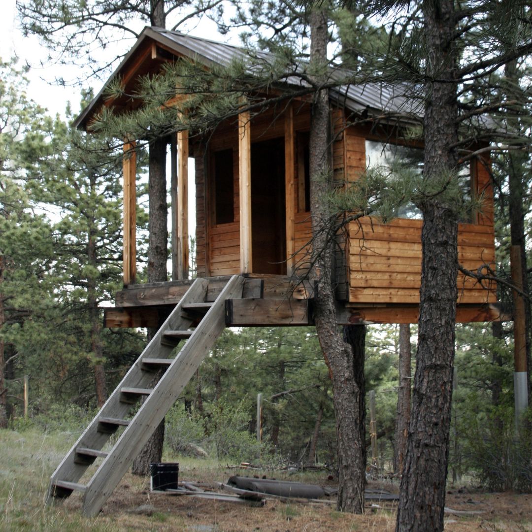Wooden treehouse with ladder nestled among pine trees in forest