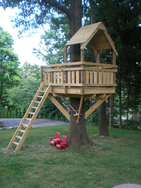 Wooden treehouse with ladder built around large tree in backyard